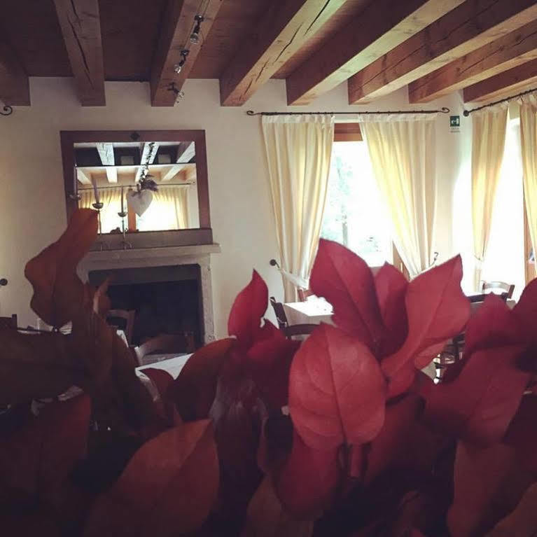Hotel Villa Dei Carpini Oderzo Bagian luar foto